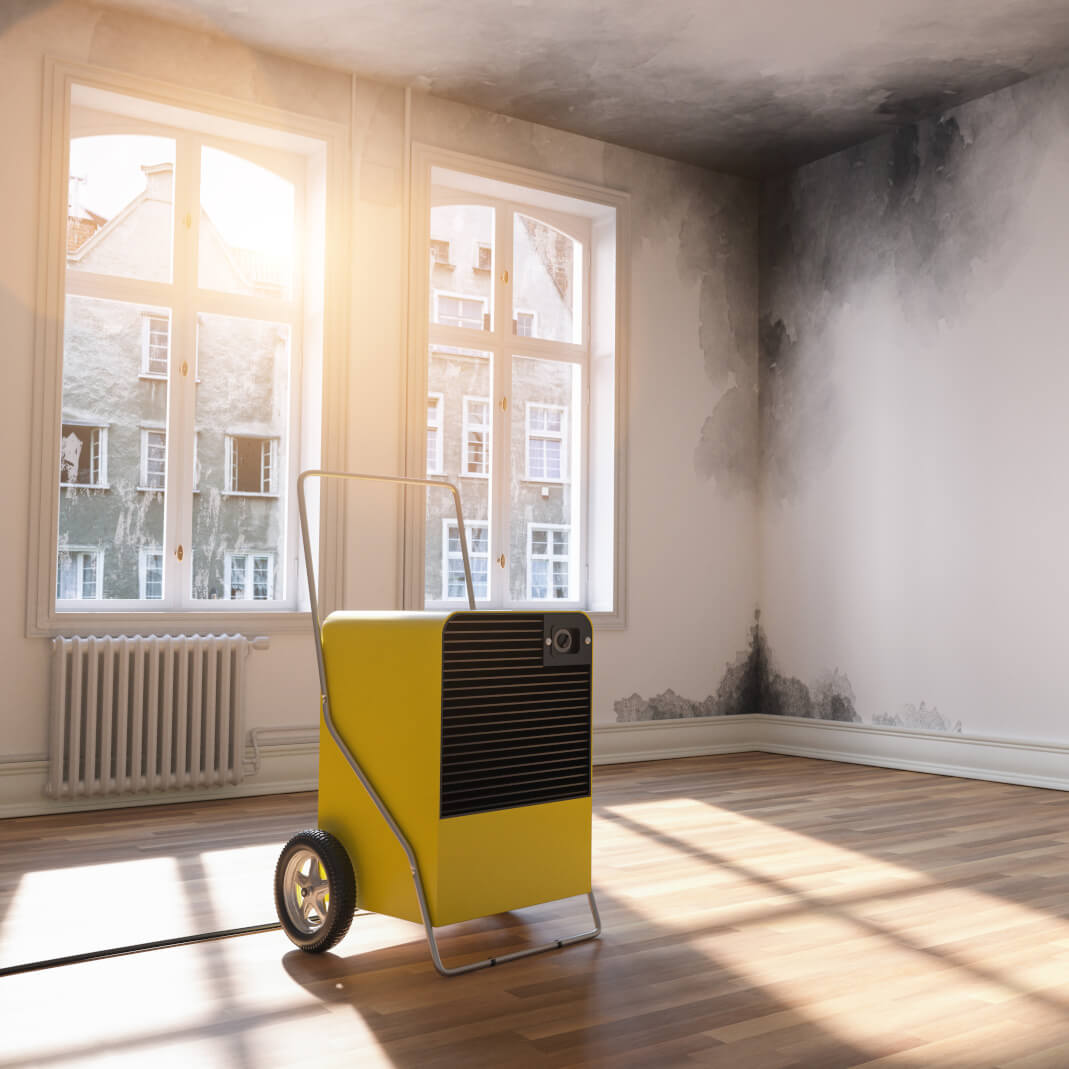 Déshumidificateur professionnel asséchant une pièce touchée par l'humidité