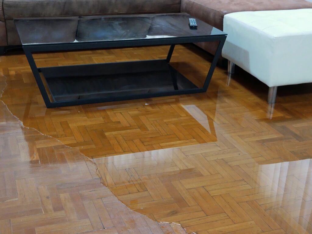 Parquet recouvert d'eau après un dégât des eaux dans un salon